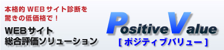 WEBサイト総合評価ソリューション Positive Value